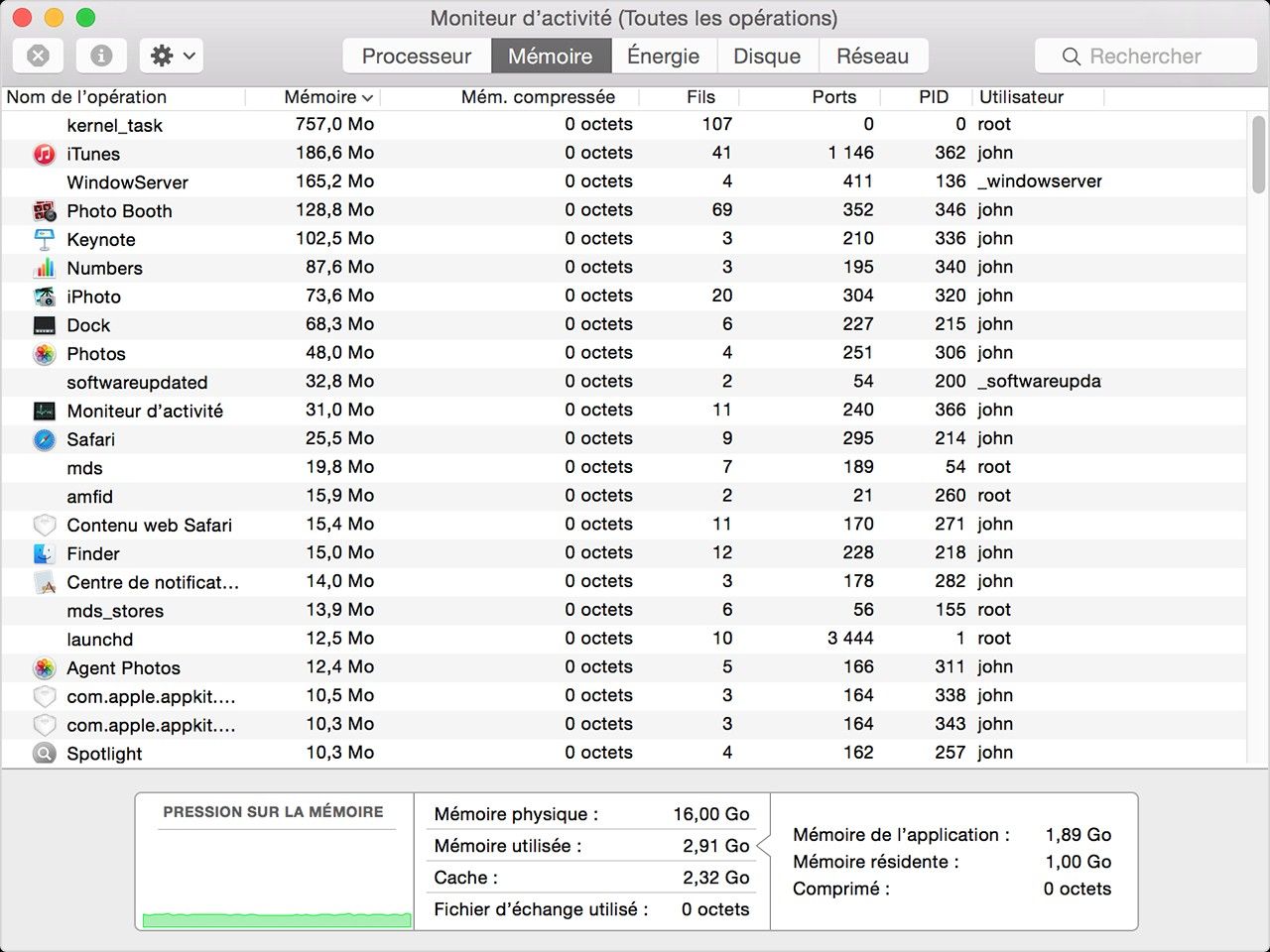 Capture d’écran de la fenêtre du Moniteur d’activité (Mes processus) sous Mac