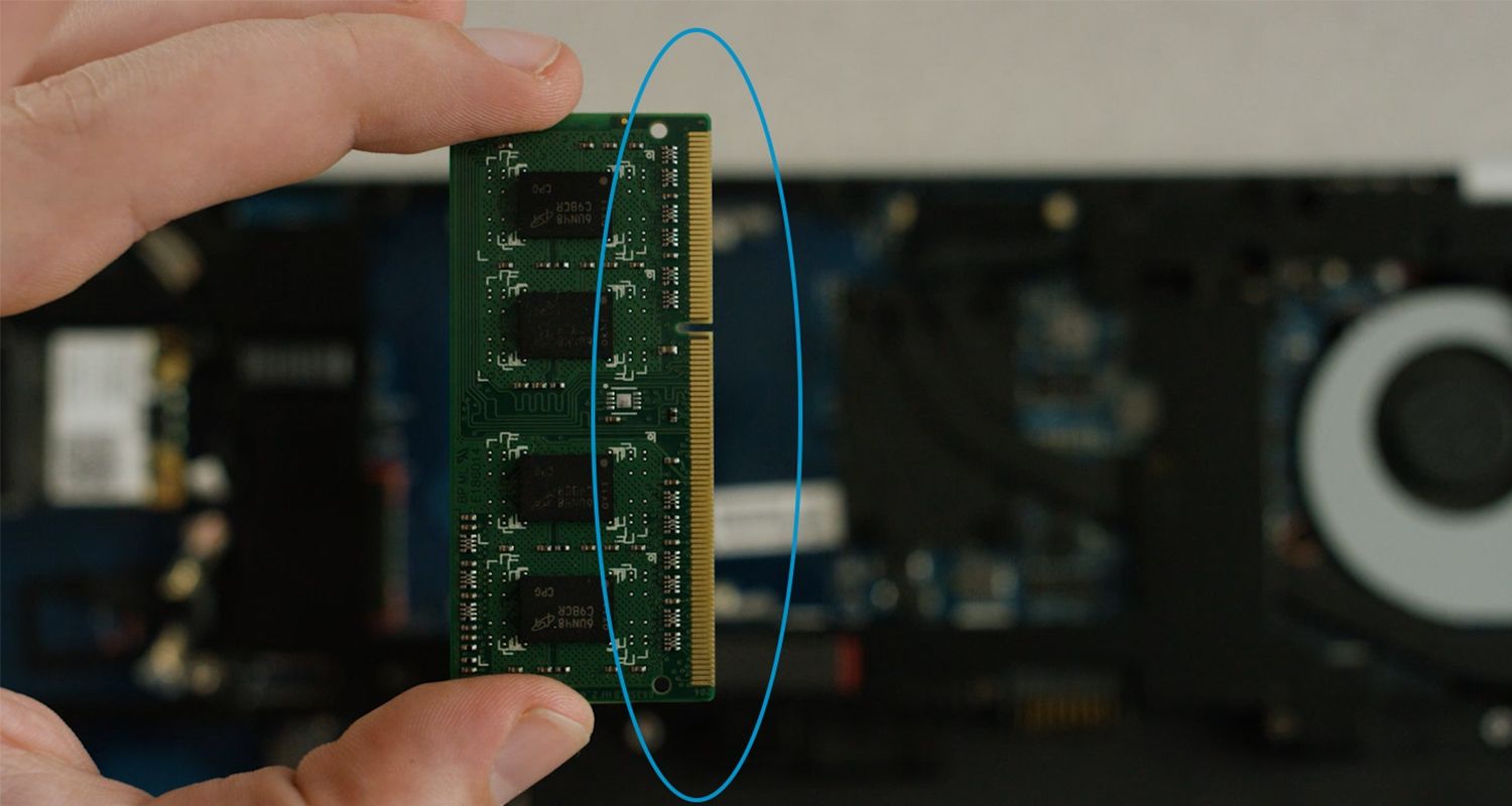 Une personne tenant un module de RAM Crucial avec les broches dorées entourées